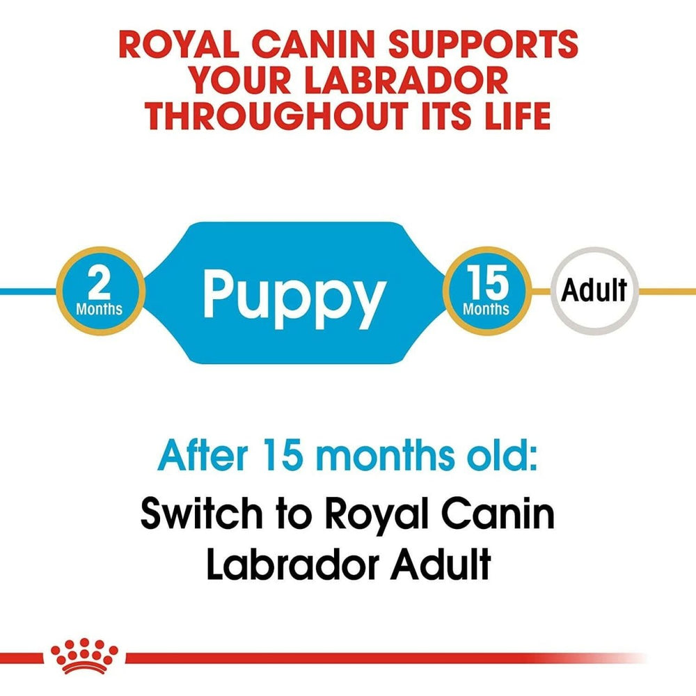 Royal Canin Labrador Retriever Puppy Dry Dog Food - dspetstore.com