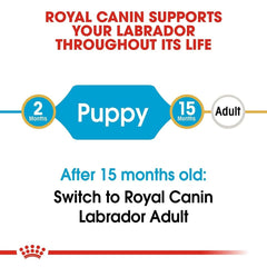 Royal Canin Labrador Retriever Puppy Dry Dog Food - dspetstore.com