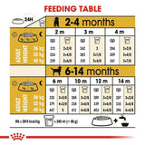 Royal Canin Labrador Retriever Puppy Dry Dog Food - dspetstore.com
