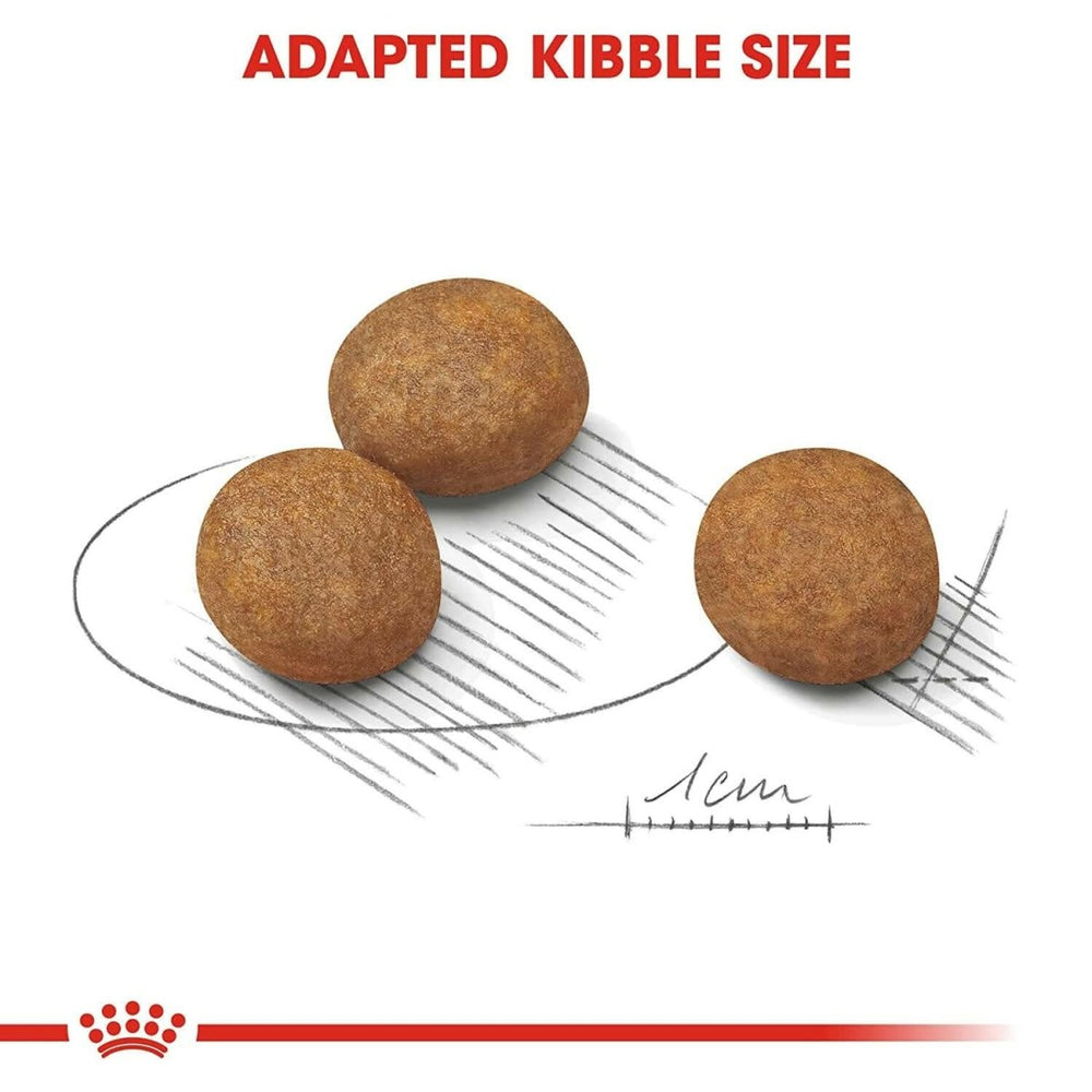 Royal Canin Maxi Puppy Dry Dog Food - dspetstore.com