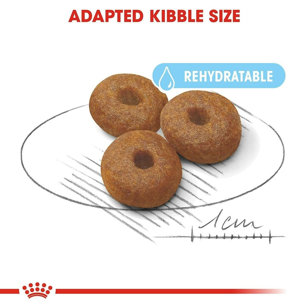 Three brown kibble pieces on a white plate with text indicating 'Adapted Kibble Size' and 'Rehydratable'.