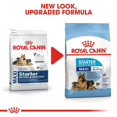Two packages of Royal Canin Maxi Starter Mother & Babydog food with a red arrow and text indicating a new look and upgraded formula.