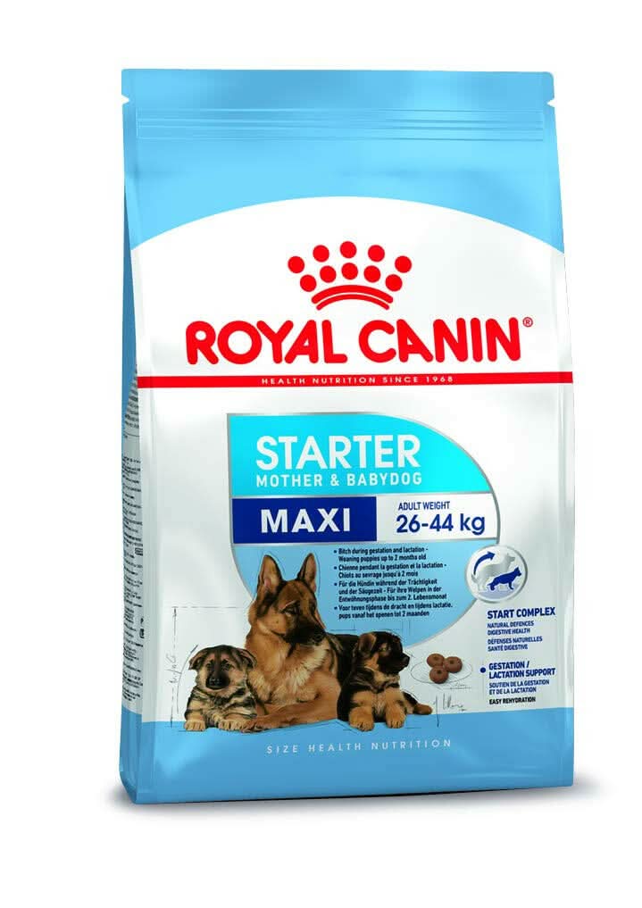 Royal Canin Maxi Starter Mother & Babydog food package on a white background