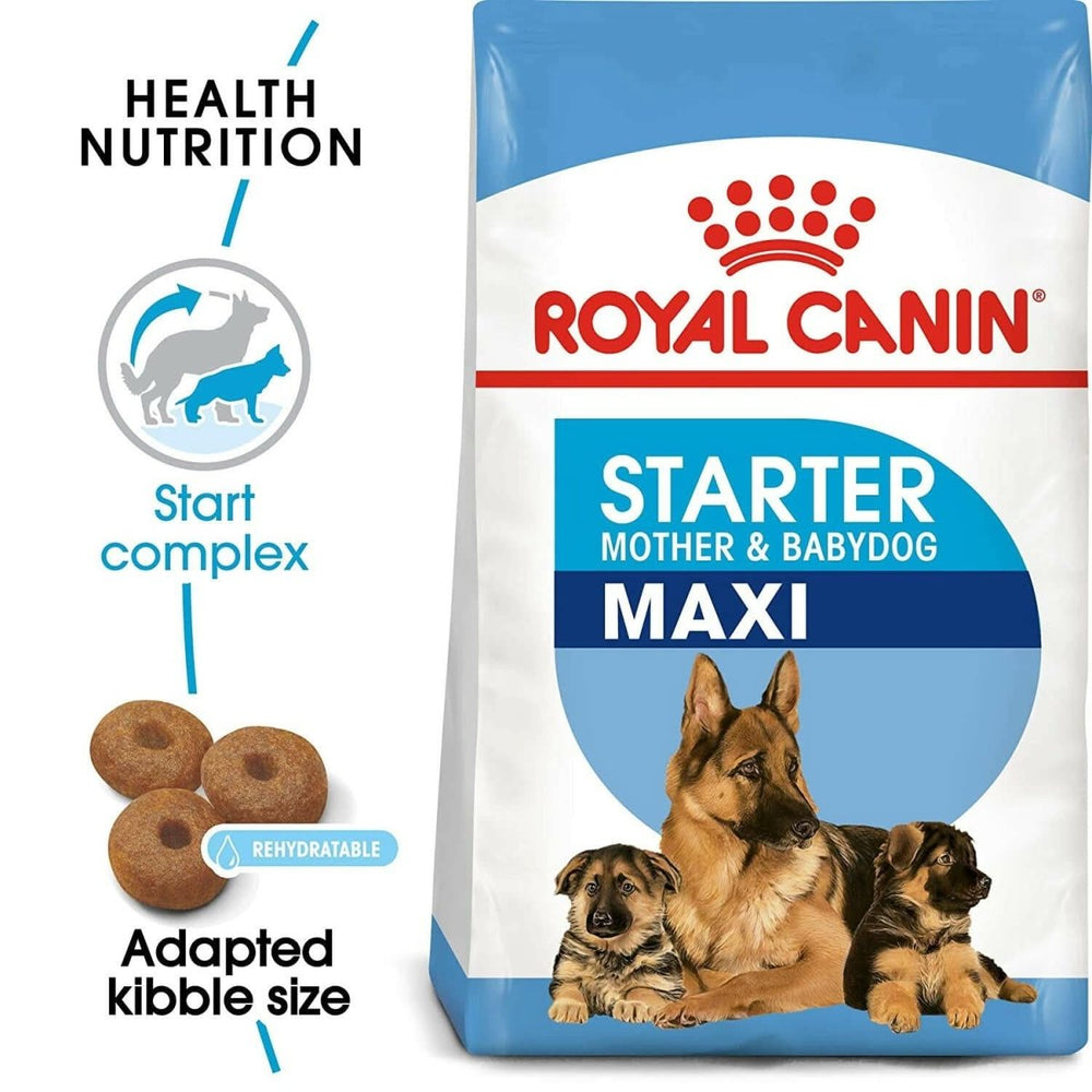 Royal Canin Maxi Starter Mother & Babydog dog food packaging with images of dogs and text on a blue and white background.