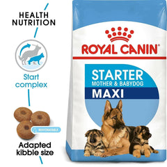 Royal Canin Maxi Starter Mother & Babydog dog food packaging with images of dogs and text on a blue and white background.