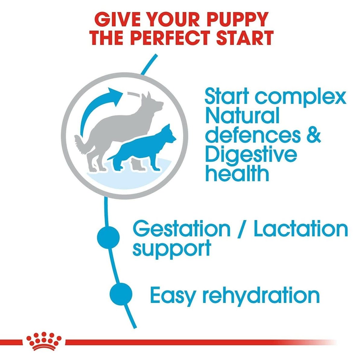 Advertisement for a pet product with text about giving a puppy a perfect start, featuring images of dogs and text about health benefits.