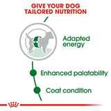 Royal Canin Mini Adult Dry Dog Food dspetstore.com
