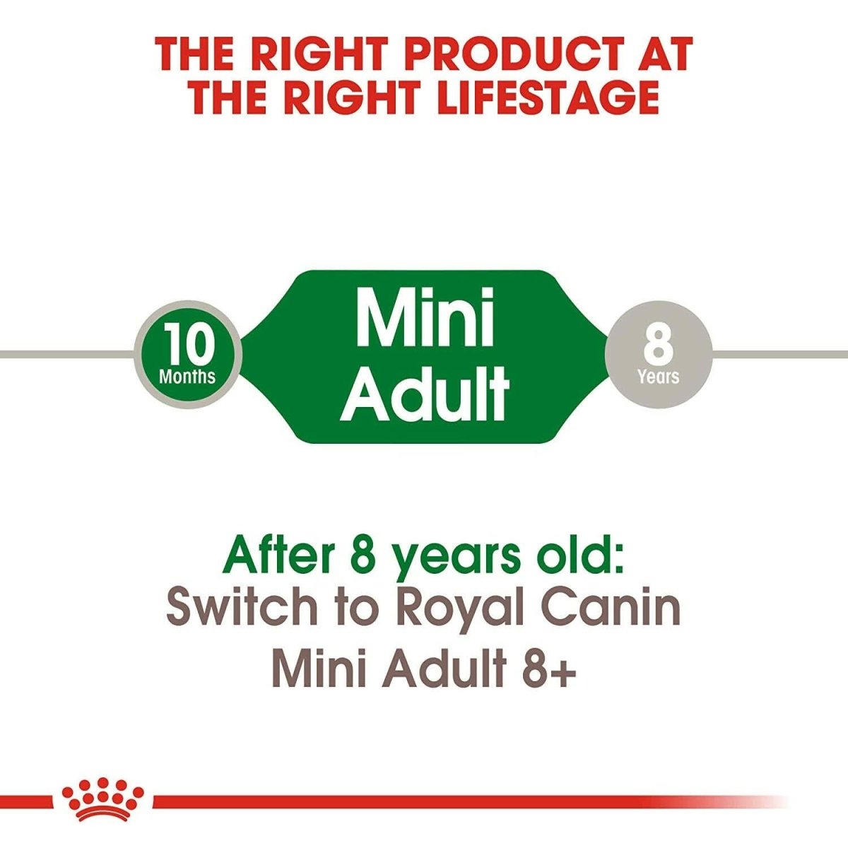 Royal Canin Mini Adult Dry Dog Food dspetstore.com