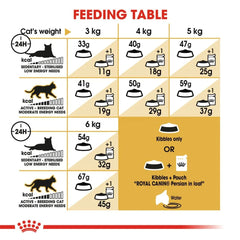 Royal Canin Persian Adult Dry Cat Food - dspetstore.com