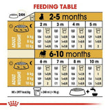 Royal Canin Pug Puppy Dry Dog Food - dspetstore.com