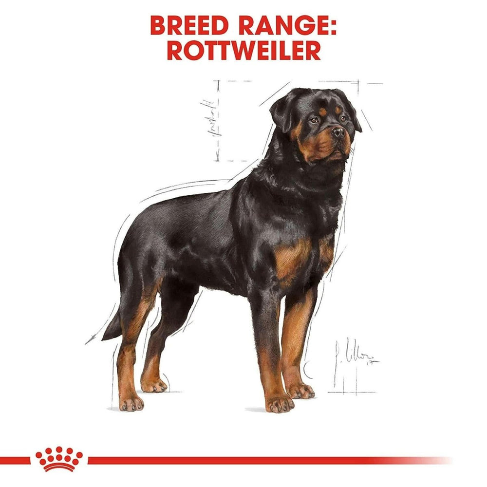 Royal Canin Rottweiler Adult Dry Dog Food - dspetstore.com