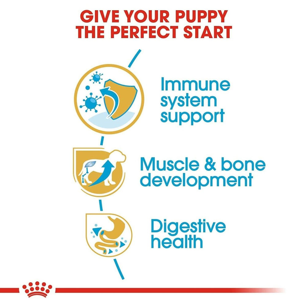 Royal Canin Rottweiler Puppy Dry Dog Food - dspetstore.com