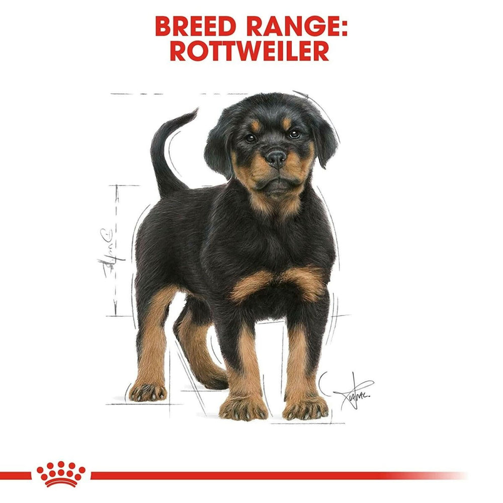 Royal Canin Rottweiler Puppy Dry Dog Food - dspetstore.com