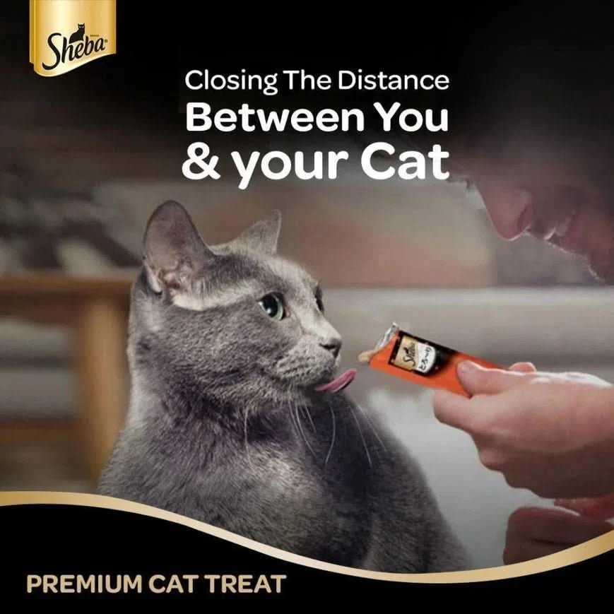 Sheba Cat Treats Melty Tuna and Tuna & Prawn Maguro Selection - dspetstore.com