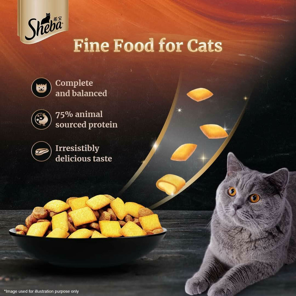 Sheba Dry Cat Food Chicken Flavour - dspetstore.com