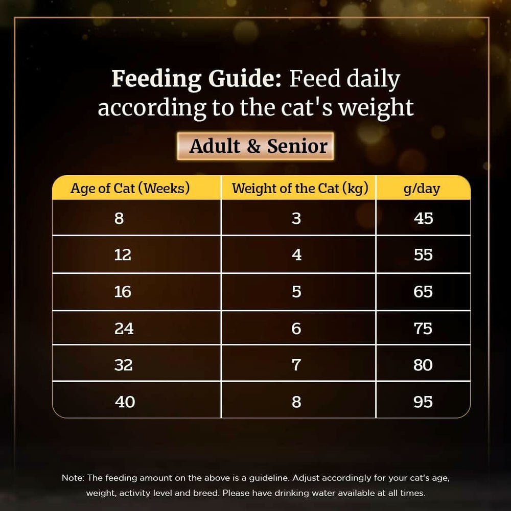 Sheba Dry Cat Food Chicken Flavour - dspetstore.com