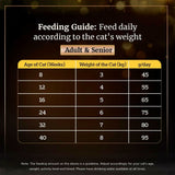 Sheba Dry Cat Food Chicken Flavour - dspetstore.com