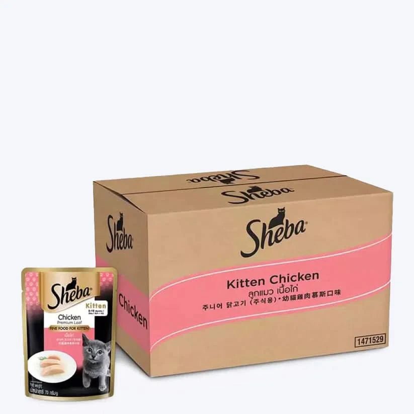 Sheba Wet Cat Food Chicken Loaf Kitten (2 - 12 Months) - dspetstore.com