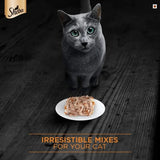 Sheba Wet Cat Food Tuna Fillet & Prawns in Gravy - dspetstore.com