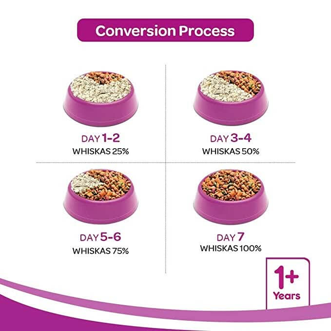 Gradual conversion process of pet food from dry to wet with Whiskas branding.