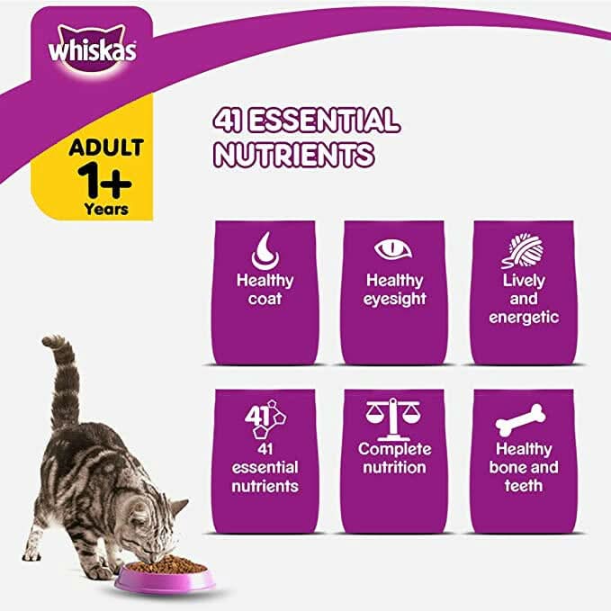 Whiskas Chicken Adult Dry Cat Food - dspetstore.com