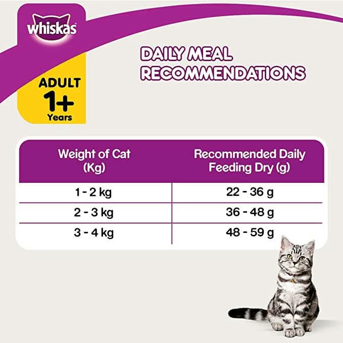 Whiskas Chicken Adult Dry Cat Food - dspetstore.com