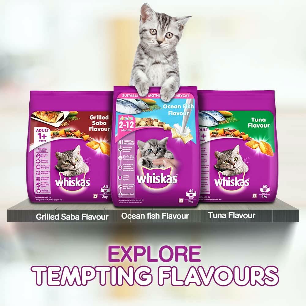 Whiskas Kitten Cat Food Mackerel - dspetstore.com