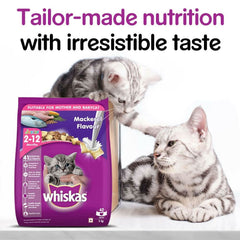 Whiskas Kitten Cat Food Mackerel - dspetstore.com