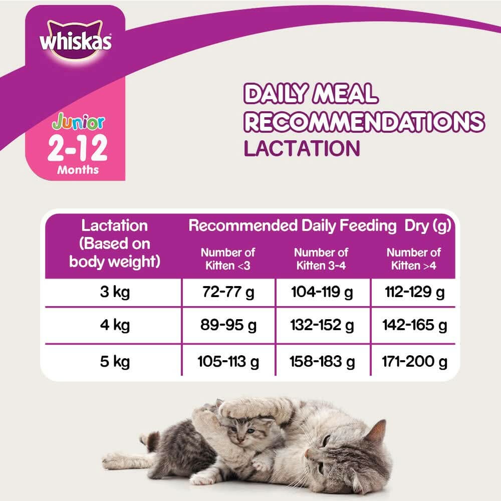 Whiskas Kitten Cat Food Mackerel - dspetstore.com