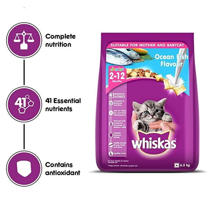 Whiskas cat food package with ocean fish flavor on a white background