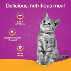 Cat sitting on an orange surface with purple background, featuring text about tuna in jelly flavor and suitability for adult cats.