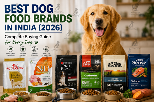 Best Dog Food Brands in India 2026 featured image showing a Golden Retriever with premium dog food brands including Royal Canin, Farmina N&D, Purina Pro Plan, Orijen, Acana, and Dibaq Sense, complete buying guide for every dog by DSPetStore.