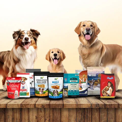 Best Dog Food Brands in India - dspetstore.com