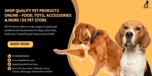 Get Fresh Dog Food, Royal Canin & Delicious Treats for Sale at DSPetStore - dspetstore.com