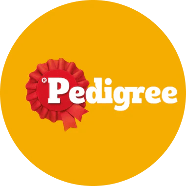 Pedigree Dog Food: A Complete Guide for Pet Parents