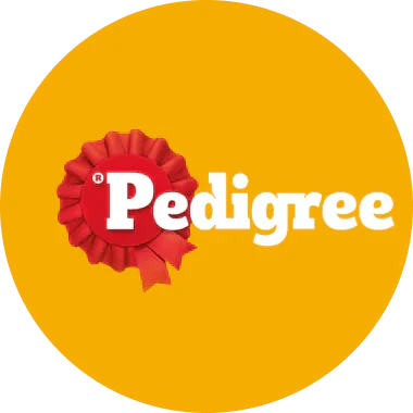 Pedigree Dog Food: A Complete Guide for Pet Parents - dspetstore.com