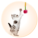 Cat Toys - dspetstore.com
