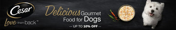 Cesar Wet Dog Food - dspetstore.com