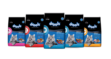 Drools Cat Food - dspetstore.com