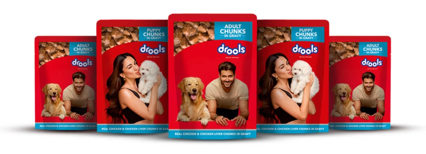 Drools Dog Food Complete Nutrition - dspetstore.com