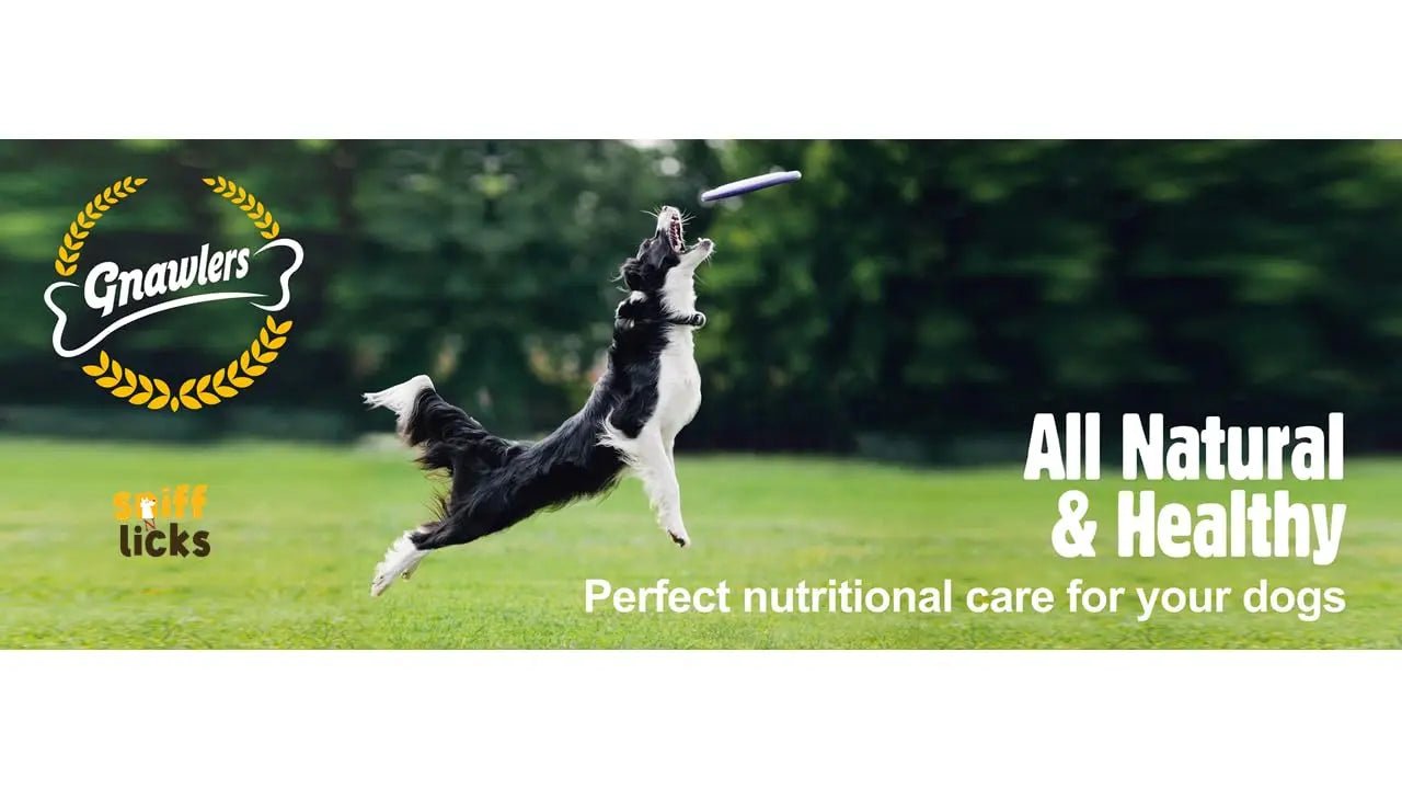Gnawlers Dog Treats - dspetstore.com