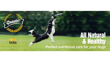 Gnawlers Dog Treats - dspetstore.com