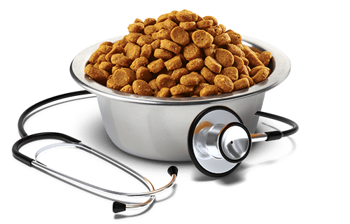 Hepatic Dog Food – Liver Support Diet for Dogs - dspetstore.com