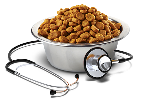 Hepatic Dog Food – Liver Support Diet for Dogs