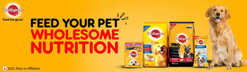 Pedigree Adult Dog Food - dspetstore.com