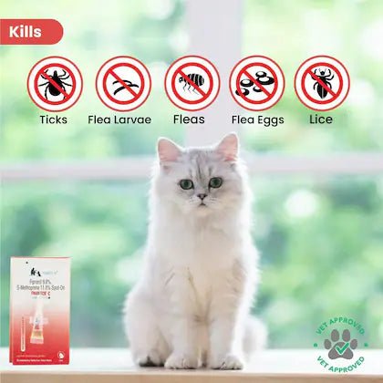 Pet Deworming : Effective Solutions for Dogs & Cats - dspetstore.com