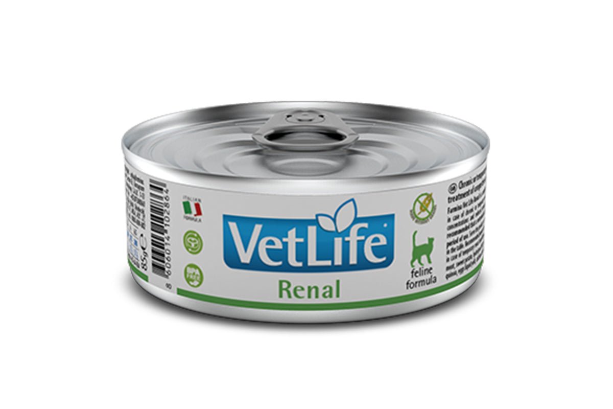 Renal Cat Food - dspetstore.com