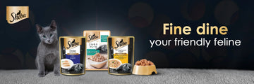 Sheba Dry Cat Food - dspetstore.com