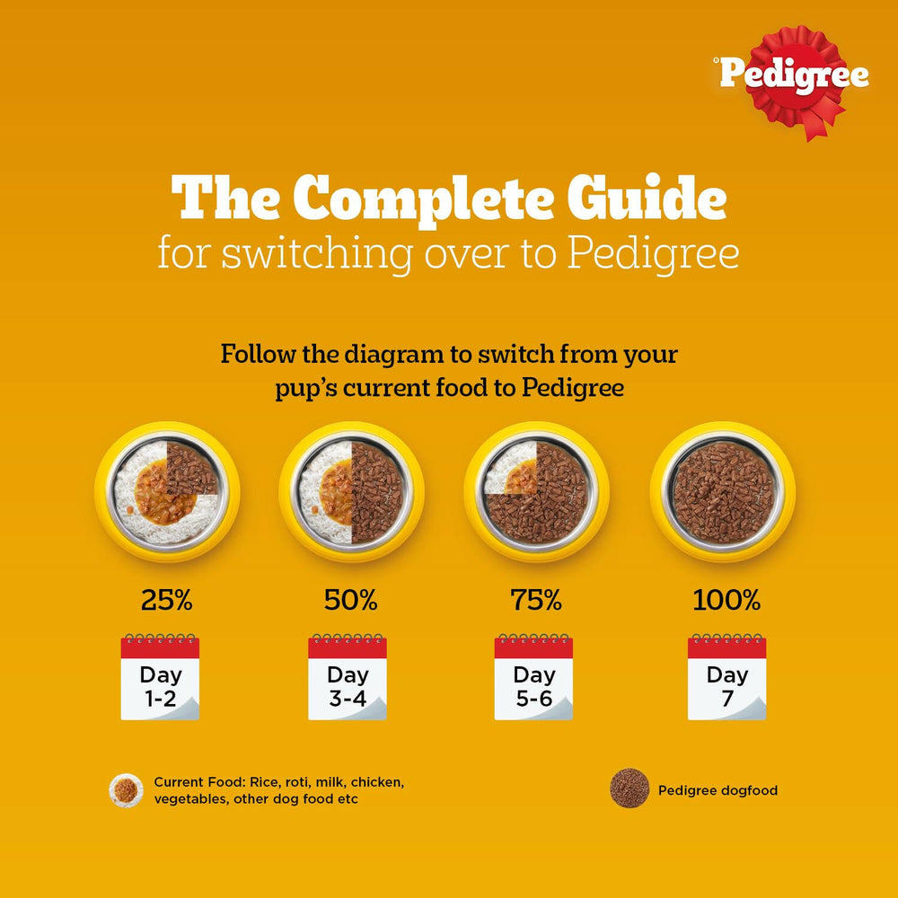 Pedigree Adult Wet Dog Food Chicken & Liver Chunks in Gravy.