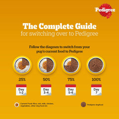 Pedigree Adult Wet Dog Food Chicken & Liver Chunks in Gravy.